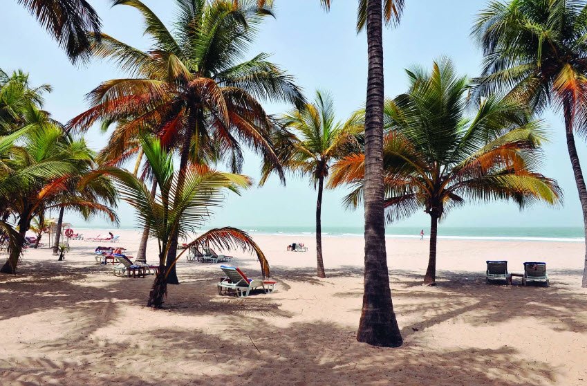 Parc National de Basse Casamance, Ziguinchor Region, Senegal